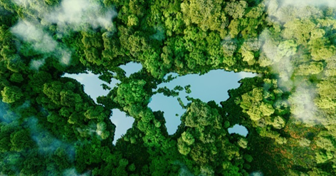 1692081056953890cPXS.png e017fcc9424479f4ad4600a75778a4ff_640_wx_fmt=png&wxfrom=5&wx_lazy=1&wx_co=1.png